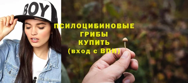 ECSTASY Алзамай