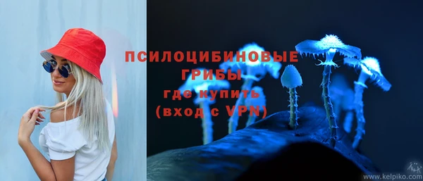 хмурый Алексеевка