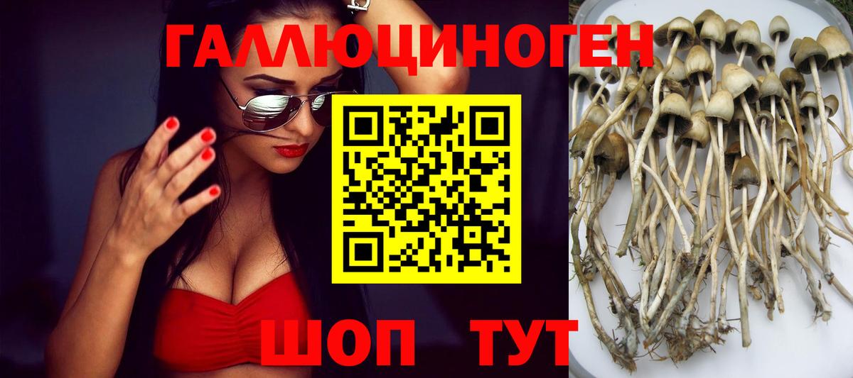 Псилоцибиновые грибы мухоморы  Вход с VPN  Миасс 